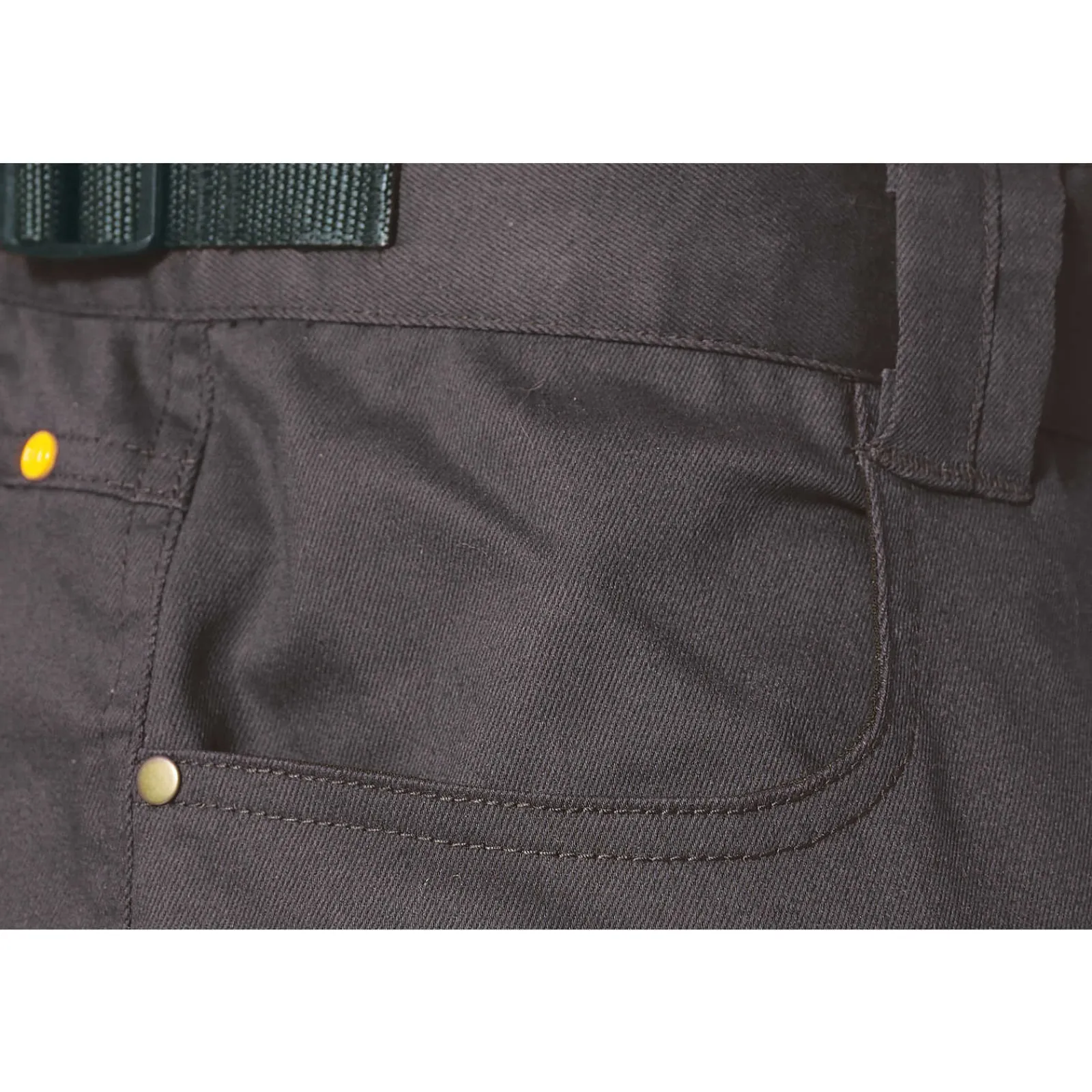 Women Cat Footwear Waterproof*H2O Defender Pant