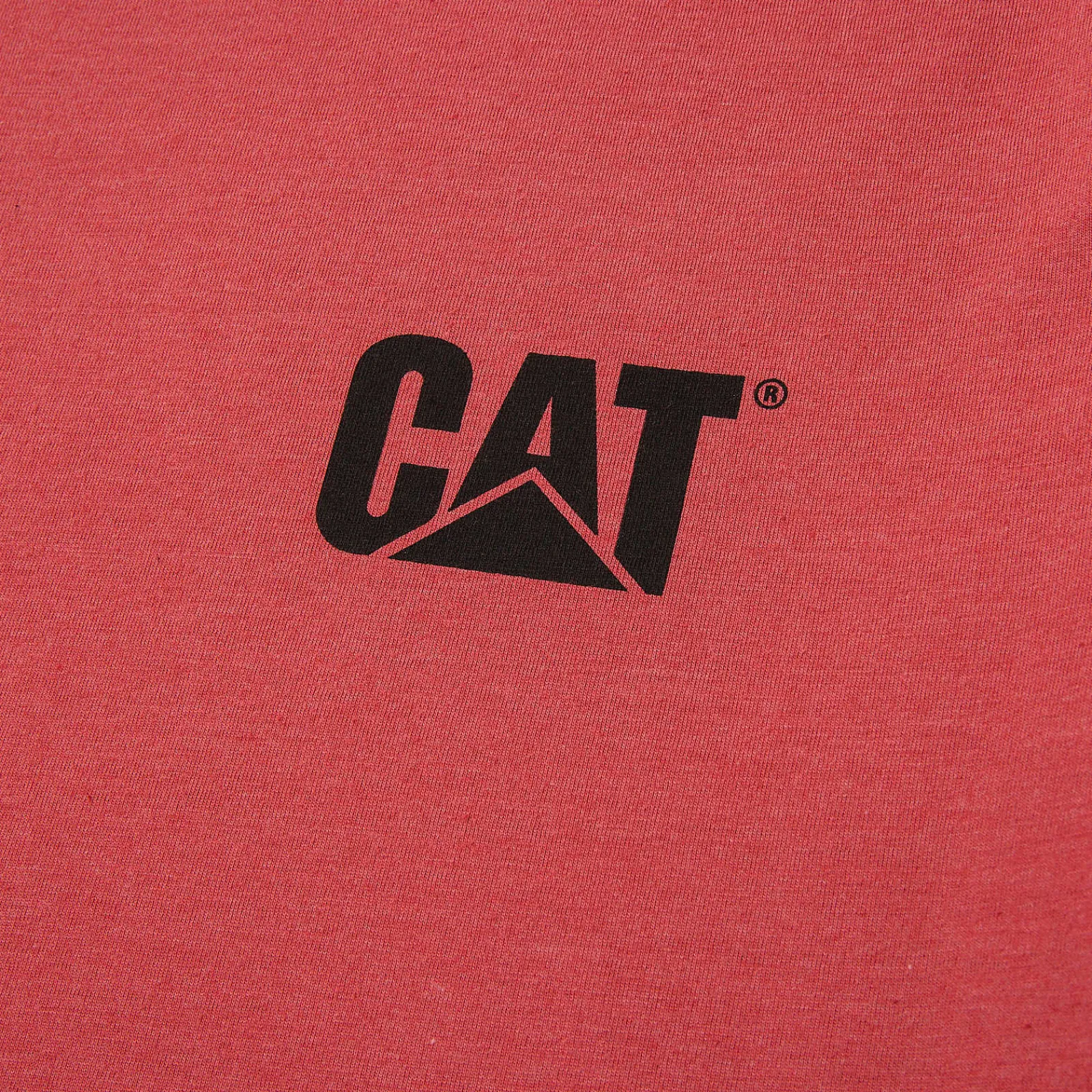 Cat Footwear Tops & Outerwear*Trademark Tee
